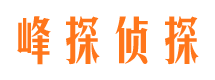 静安婚外情调查